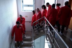 Visita Estudo  Delphi - APTIV 26-05-2018